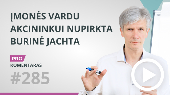 Įmonės vardu akcininkui nupirkta burinė jachta