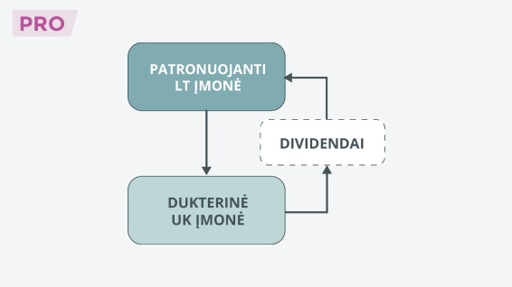 Ar LT įmonė gavo dividendus iš apsimestinio darinio?