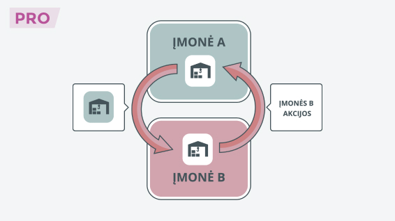 VMI persigalvojo dėl turtinio įnašo apmokestinimo pelno mokesčiu