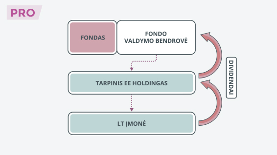 Dividendų lengvata ir piktnaudžiavimas siekiant mokestinės naudos
